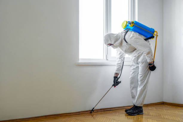 Trusted Wareham Center, MA Pest Control Experts
